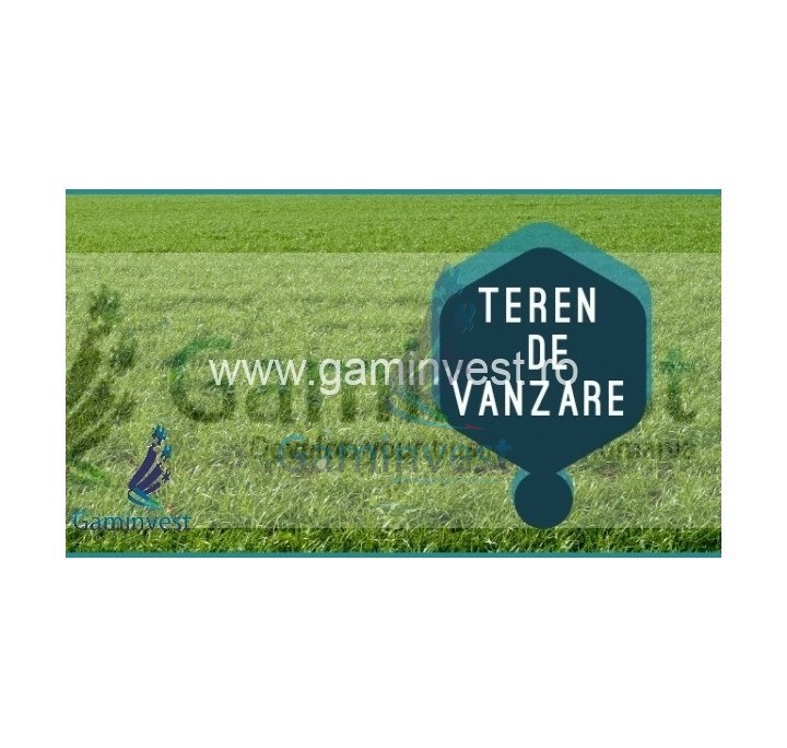Land for sale in Nojorid, Bihor, Romania