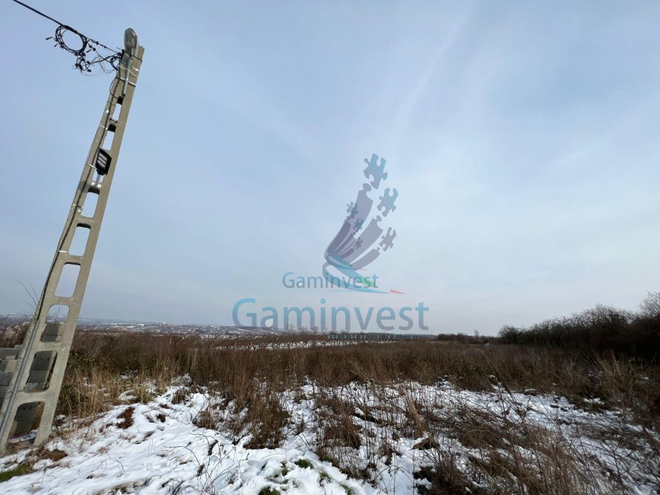 De vanzare teren intravilan, Paleu, Bihor, Romania