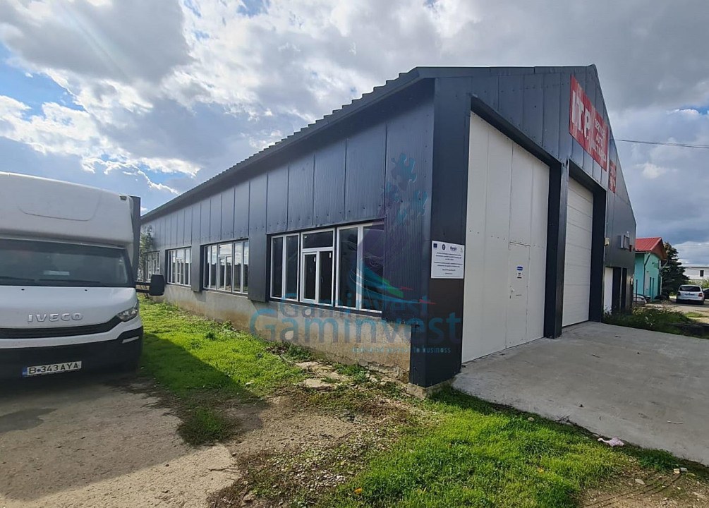 Industrial warehouse for sale in Romania
