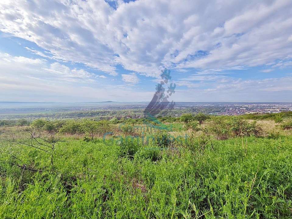 Land for sale, hills area, Oradea, Bihor