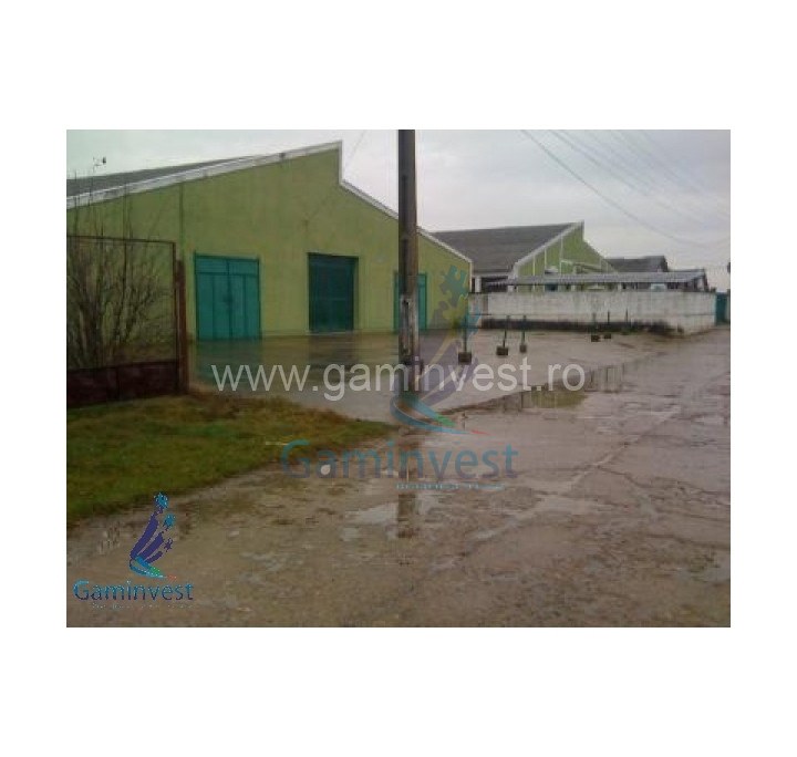 For rent! Warehouse in Cefa, Bihor, Romania