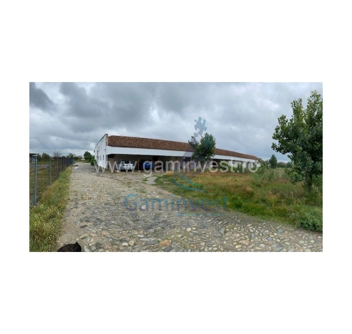 De vanzare teren 2ha si afacere, in Zona Industriala Craiova, Dolj, Romania