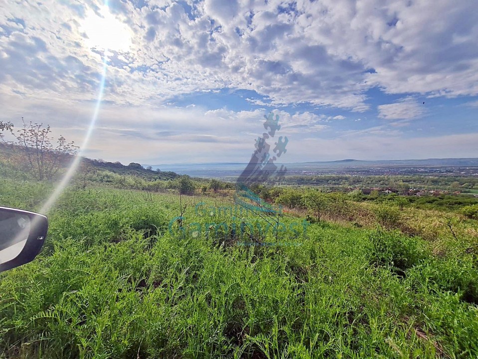 Land for sale, hills area, Oradea, Bihor