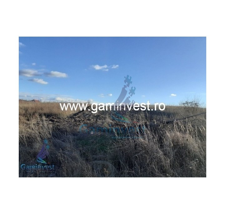 Land for sale in Sanmartin, Bihor, Romania
