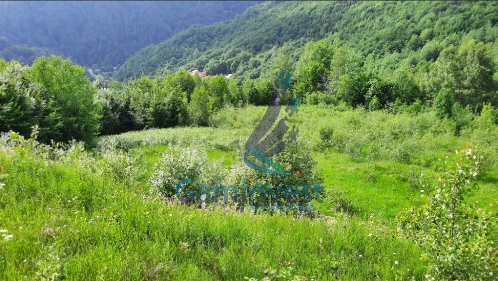 Land for sale in Boga area, Bihor, Romania
