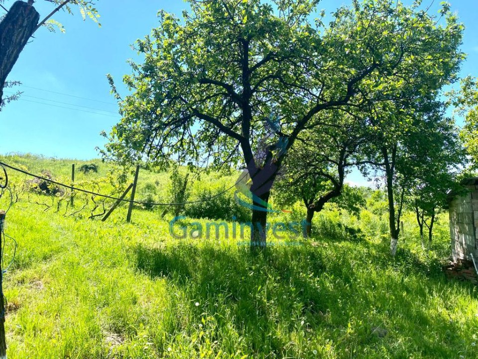 House for sale in Gheorghe Doja area, Oradea, Bihor