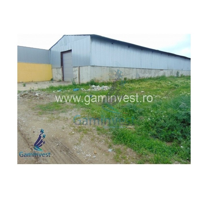 For sale! Warehouses, office building and land, Calea Borsului, Oradea, Romania