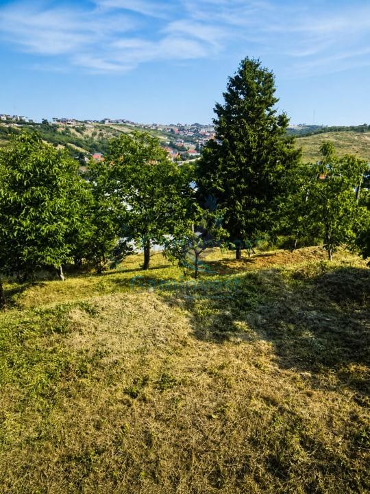 Teren in zona verde aproape de oras, zona Doja, Oradea