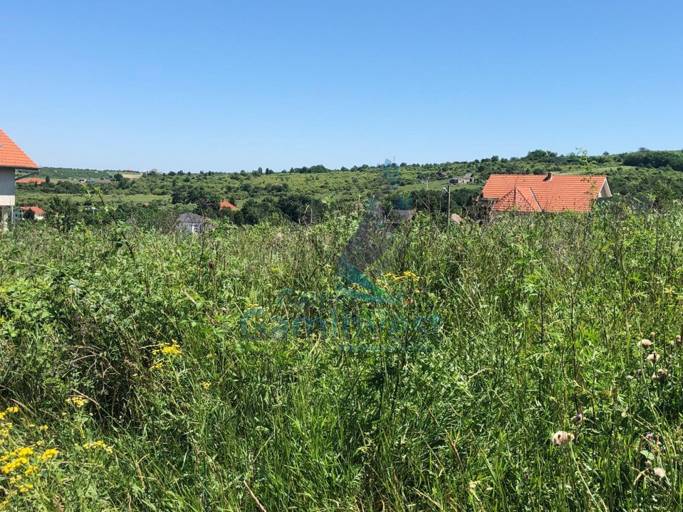 Land for sale, hill area, Oradea, Romania